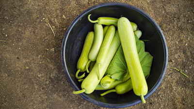 वजन घटाने में मदद करती हैं ये 5 सब्जियां, वेट लॉस डाइट में करें शामिल